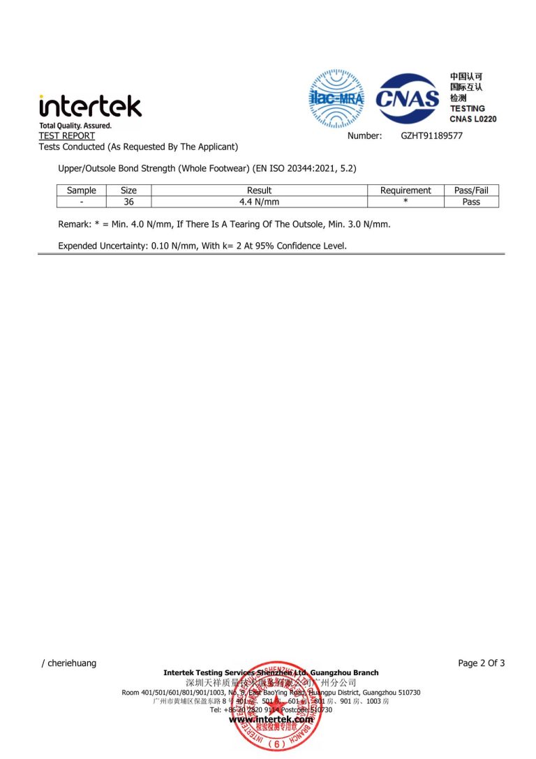 CE Safety Footwear Test Details - Page 1 image