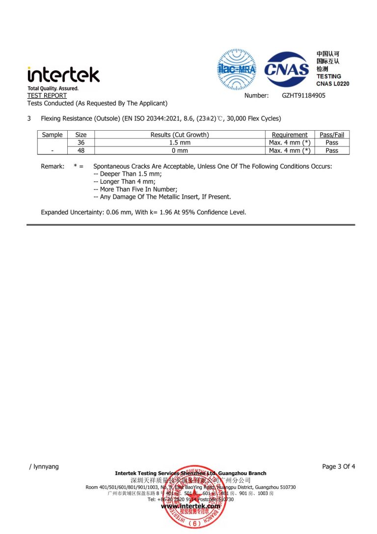 CE Safety Footwear Test Details - Page 3 image