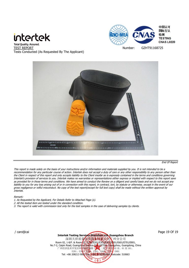 CE Safety Footwear Test Details - Page 21 image
